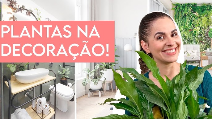 12 plantas para apartamento lindas e fáceis de cuidar