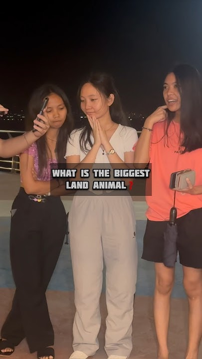 what-is-the-biggest-land-animal-youtube