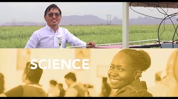 Catalysts of change: Sonali McDermid