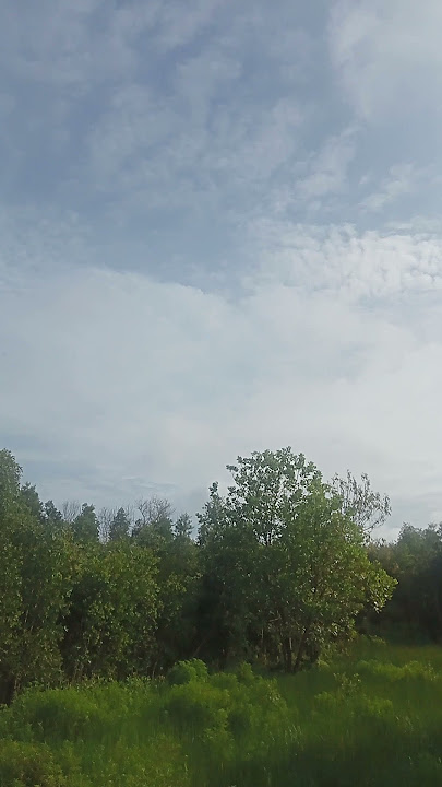 pagi yang cerah bersama suara burung berkicau☁️🌥️#trendingshorts #fypviral #thailand  #indonesia