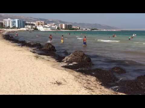 Video: Le Spiagge Del Messico Colpiscono Con L'infestazione Di Alghe