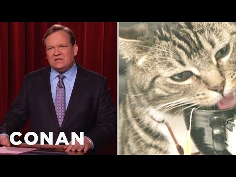 Andy richter nissan youtube