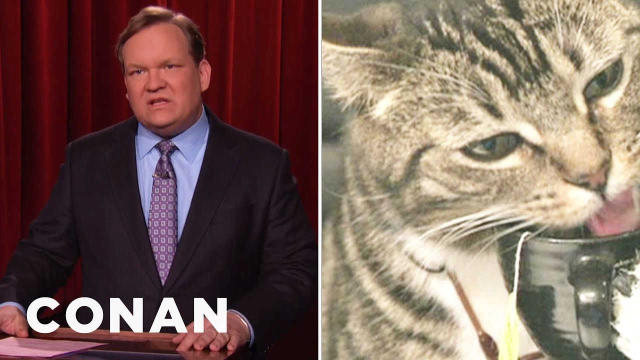 Film backdrop image for Andy Richter's Boring Cat (2014)