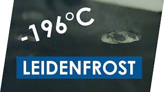 Celebrity Leidenfrost effect with liquid nitrogen Wealth