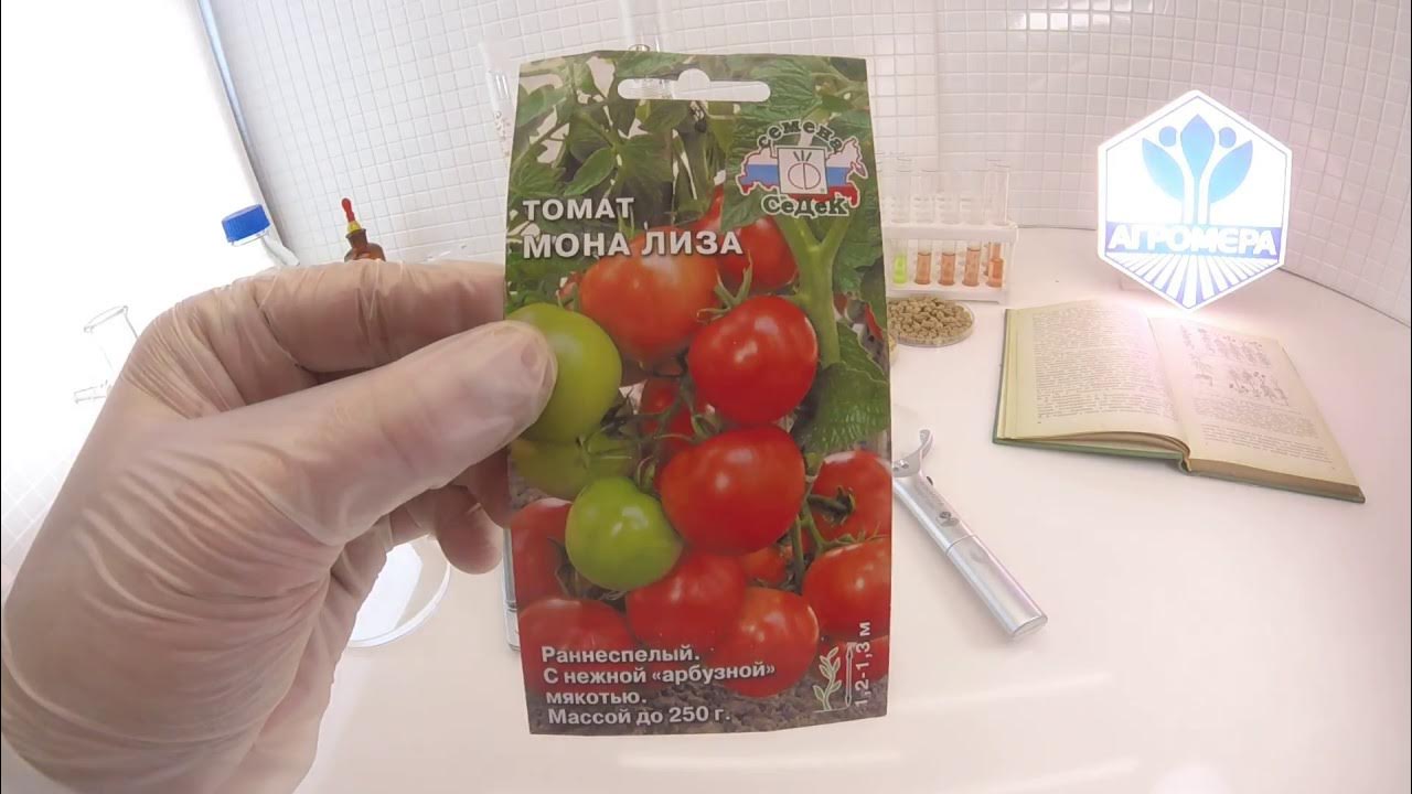 Черри лиза томат отзывы фото и описание Томат Мона Лиза. СеДеК - YouTube