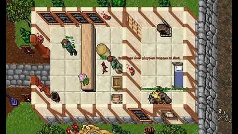 Tibia Summer Update 2021 Test Server - Community Handler