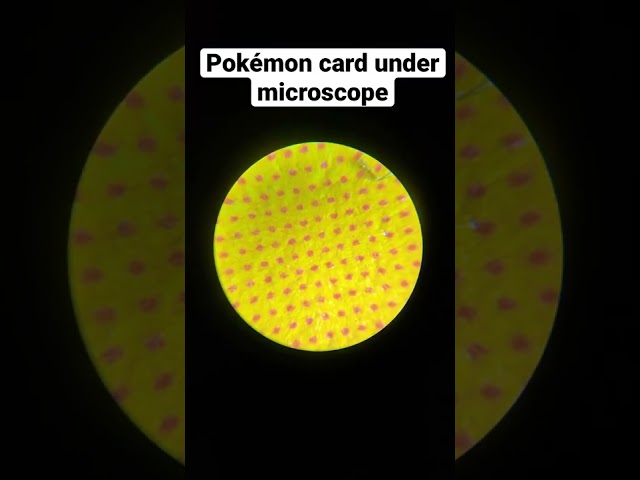 A Pokémon card under microscope is insane! class=