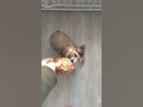 Моя Жаки - YouTube