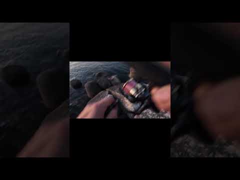 E pian piano arrivano i primi risultati… #fishing #fish #serra #sunset #sea