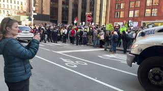 Pro-Palestine Protesters Gather on NYU Campus