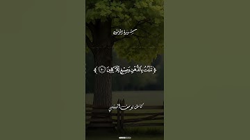 ﷽📖 ‏سُورَةُ المُؤۡمِنُونَ🎙️القارئ كامل يوسف البهتيمي