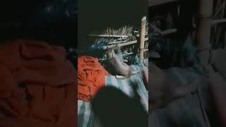 Video Viral Short Monkey Ke