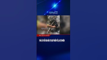 Thả cá thể rùa đầu to quý hiếm về lại tự nhiên