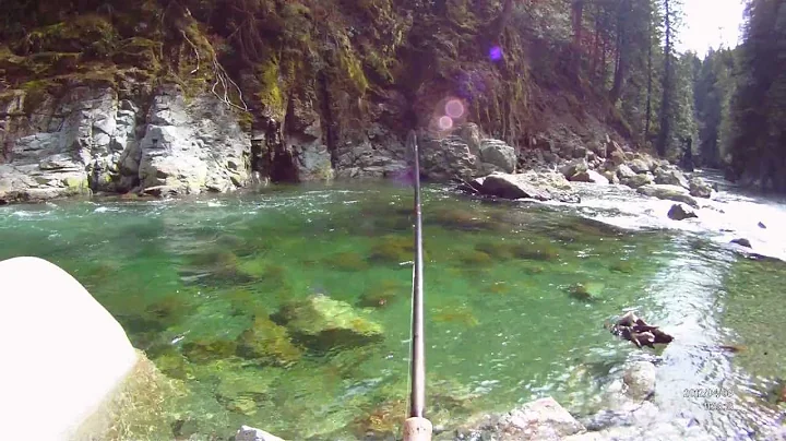 Wild fish April 8th