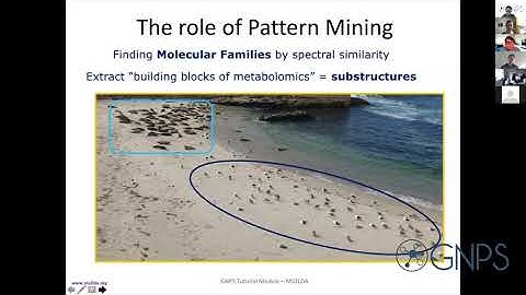 GNPS - MS2LDA Workshop