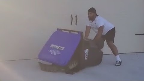 Florida man captures alligator in trash can
