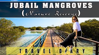 JUBAIL MANGROVES PARK ABU DHABI | Where to find Mangroves in Abu Dhabi
