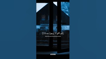 ﴿ إِنَّهُمْ كَانُوا لَا يَرْجُونَ حِسَابًا ﴾ سورة النبأ || القارئ عبدالرحمن مسعد