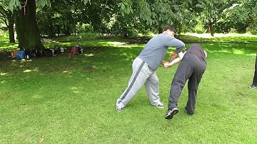 Fighting Arts - Yin Style Bagua - Extending Strikes