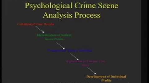 CERIAS Security: The Psychology of Computer Deviance 3/6