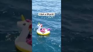 SHARK Pulls FLORIDA MAN 4 Miles Offshore on UNICORN FLOATY!