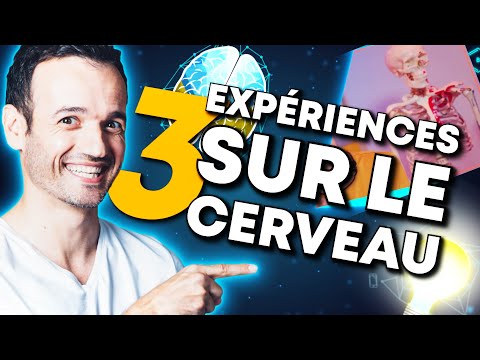 3 expériences sur les changements du cerveau - MG.5