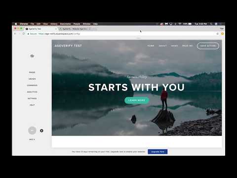 AgeVerify Installation Instructions for Squarespace Websites