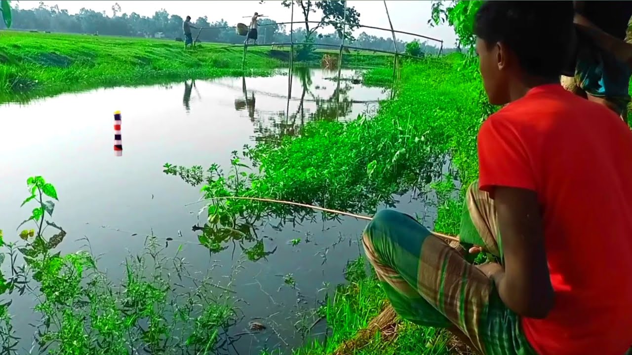 BAST HOOK FISHING IN BANGLADESH GOOD VILLAGE FISHING VIDEOVILLAGE