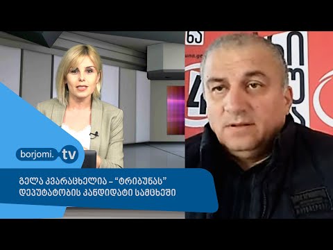 \"დღის ამბების\" სტუმარი - გელა კვარაცხელია, \"ტრიბუნას\" დეპუტატობის კანდიდატი სამცხეში