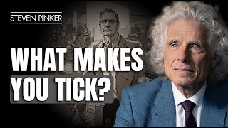 Finding Patterns: Steven Pinker On Human Behaviour