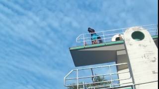 Saftiges Brett Marcel (10m Turm)