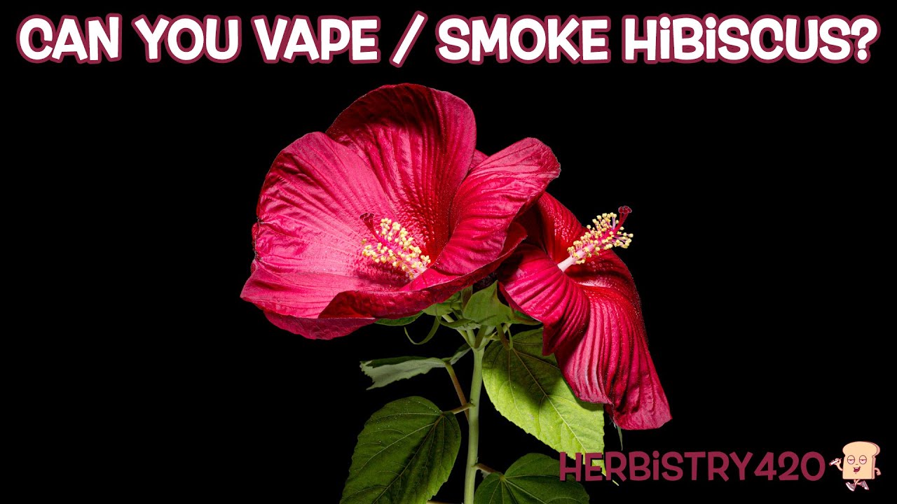 how to charge flum pebble Why Is My Flum Pebble Vape Not Charging?  Vape Papa