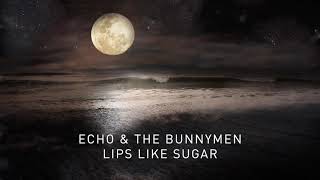 Echo & The Bunnymen - Lips Like Sugar (Transformed) (Official Audio) chords