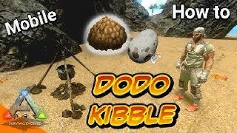 How to make dodo egg kibble( Fresh Breakfast Pursuit)!!! 🥚