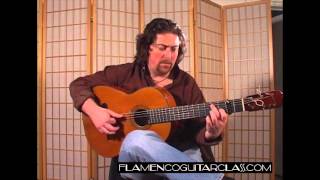 flamenco guitar class - seguiriyas no.8