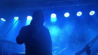 Florin Decuseara - Ma ucide ea (LIVE BAND)