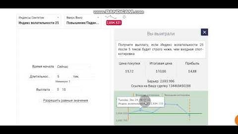 Индекс волатильности 25. Бинарные опционы.