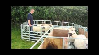Farmers Apprentice Entry: Adam Garthwaite