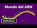 Cuestionario sobre la Hipótesis del Mundo de ARN