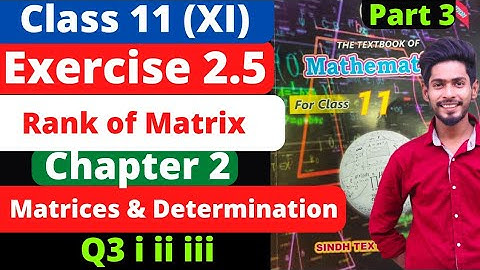Class 11 Exercise 2.5 unit 2 Q3 Rank of Matrix Matrices & Determination New Mathematics Sindh Board