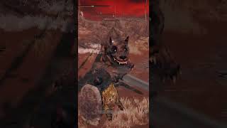 Elden Ring | Taming beast in caelid