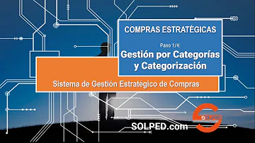 ¿Cuáles son las 7 categorías de gestión?