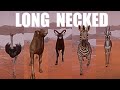 Long Necked Animals Speed Races in Planet Zoo included Ostrich, Camel, Lechwe, Zebra, Gazelle