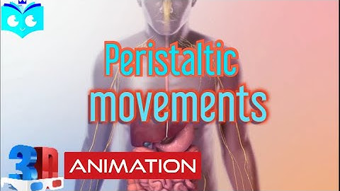 Class 11 neet |Digestion and absorption part 2   | 3D-Animation | #biology #neet2023 #science #study