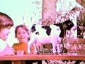 Toy commercial milky the marvelous milking cow  friends