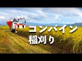 寺田もち【もち米の稲刈り】