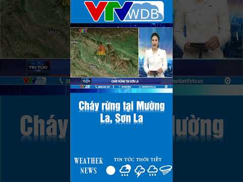 Cháy rừng tại Mường La, Sơn La | VTVWDB