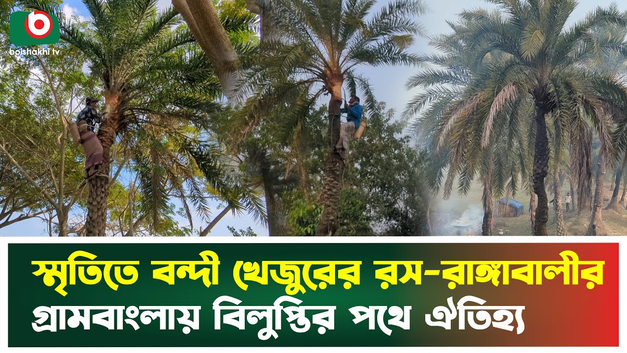 স্মৃতিতে বন্দী খেজুরের রস—রাঙ্গাবালীর গ্রামবাংলায় বিলুপ্তির পথে ঐতিহ্য ...