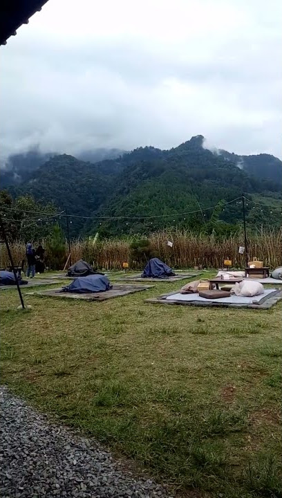 PAP NONGKRONG