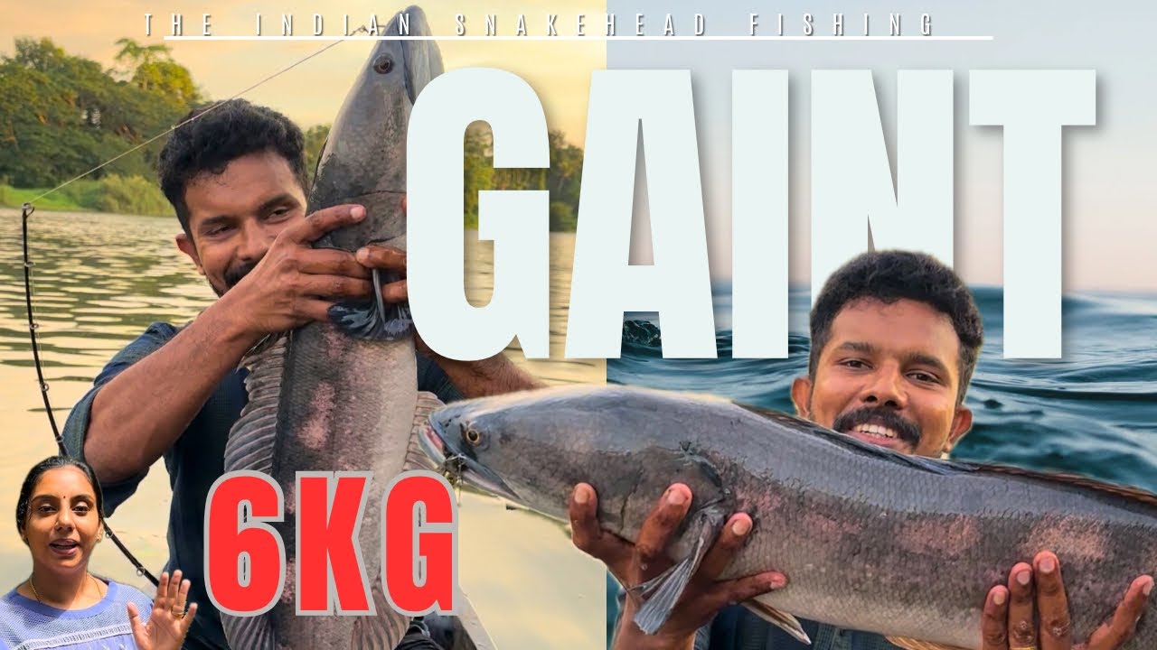 Most insane fish hunt in kerala river! Amazing gaint fight! You never ...